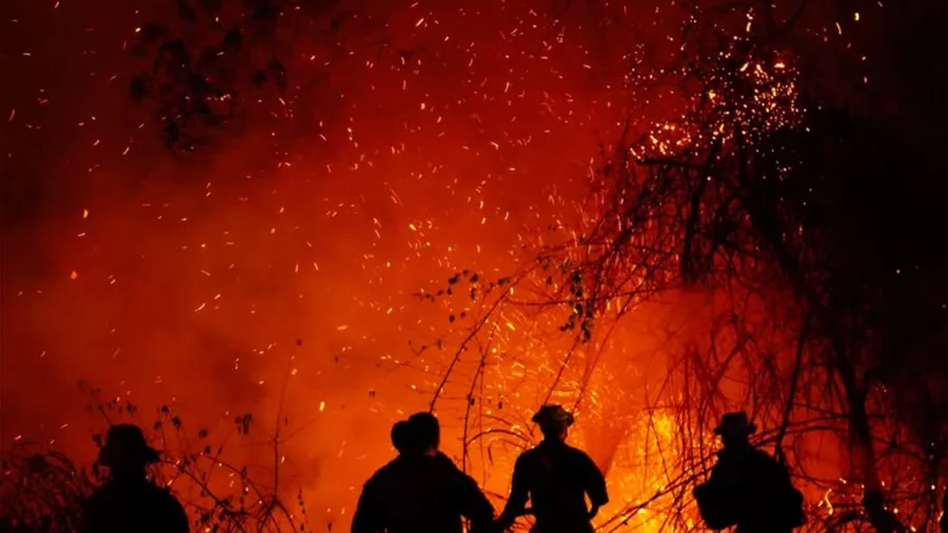 Bomberos combaten un incendio forestal de grandes proporciones en la noche